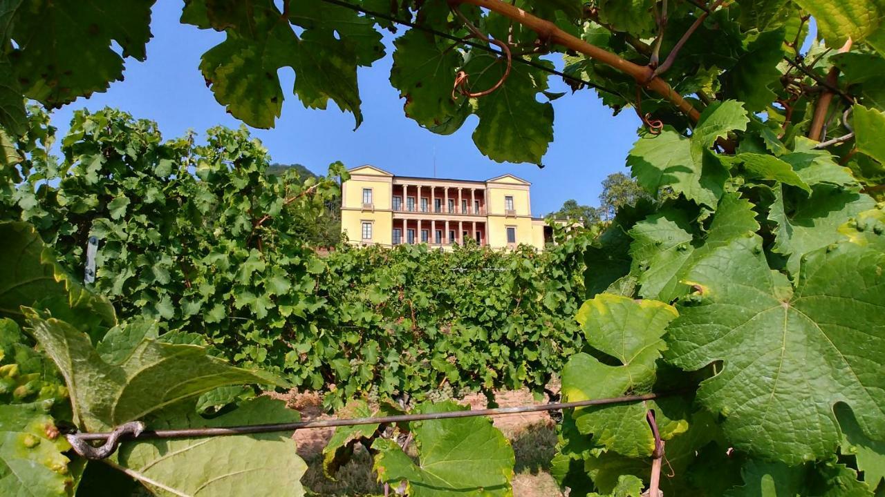 Ferienhaus Rauwolf Mit 2 Ferienwohnungen Roschbach Екстер'єр фото